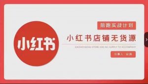 安琪-小红书店铺无货源实战，开店到售后全流程操作-吾藏分享