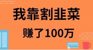 我靠割韭菜赚了 100 万-吾藏分享