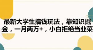 最新大学生搞钱玩法，靠知识掘金，一月两万+，小白拒绝当韭菜【揭秘】-吾藏分享