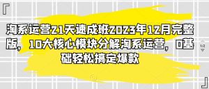 淘系运营21天速成班2023年12月完整版，10大核心模块分解淘系运营，0基础轻松搞定爆款-吾藏分享