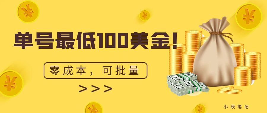 单号最低100美金，零成本，小白无脑操作。可复制，可扩大。-吾藏分享