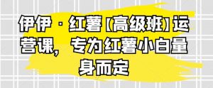 伊伊·红薯【高级班】运营课，专为红薯小白量身而定-吾藏分享