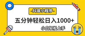 轻松日入1000+，抖音小程序最新思路，每天五分钟，适合0基础小白-吾藏分享