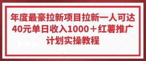 年度最豪拉新项目拉新一人可达40元单日收入1000＋红薯推广计划实操教程【揭秘】-吾藏分享