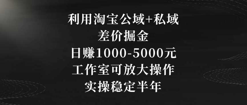 利用淘宝公域+私域差价掘金，日赚1000-5000元，工作室可放大操作，实操稳定半年【揭秘】-吾藏分享