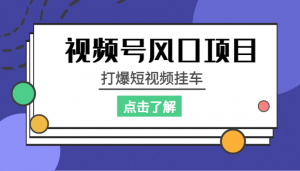 视频号风口项目，打爆短视频挂车-吾藏分享