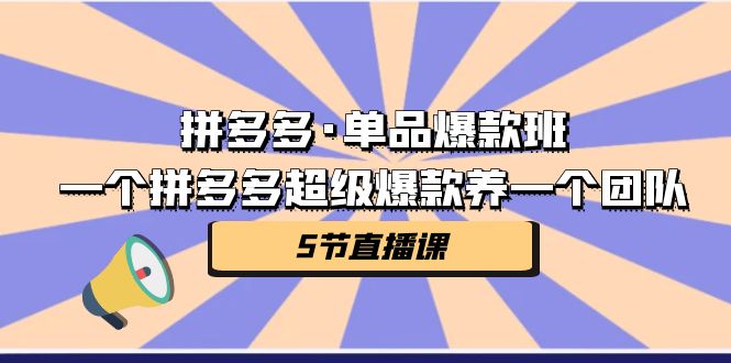 拼多多·单品爆款班，一个拼多多超级爆款养一个团队（5节直播课）-吾藏分享