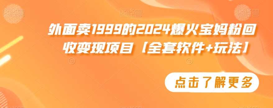 外面卖1999的2024爆火宝妈粉回收变现项目【全套软件+玩法】【揭秘】-吾藏分享