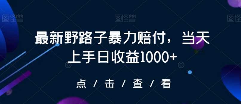 最新野路子暴力赔付，当天上手日收益1000+【仅揭秘】-吾藏分享