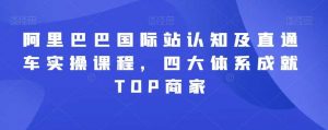 阿里巴巴国际站认知及直通车实操课程，四大体系成就TOP商家-吾藏分享