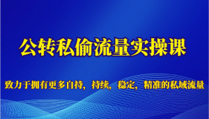 公转私偷流量实操课，致力于拥有更多自持，持续，稳定，精准的私域流量-吾藏分享