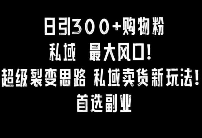 日引300+购物粉，超级裂变思路，私域卖货新玩法，小红书首选副业【揭秘】-吾藏分享