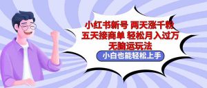 小红书新号两天涨千粉五天接商单轻松月入过万 无脑搬运玩法 小白也能轻…-吾藏分享