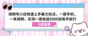 视频号小白快速上手暴力玩法，一部手机，一条视频，实测一周收益5000加有手就行【揭秘】-吾藏分享