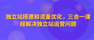 独立站搭建和流量优化，三合一课程解决独立站运营问题-吾藏分享