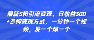 最新S粉引流变现，日收益300+多种变现方式，一分钟一个视频，发一个爆一个【揭秘】-吾藏分享