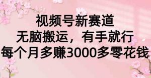 视频号新赛道，无脑搬运，有手就行，每个月多赚3000多零花钱-吾藏分享