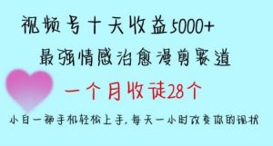 十天收益5000+，多平台捞金，视频号情感治愈漫剪，一个月收徒28个，小白一部手机轻松上手【揭秘】-吾藏分享