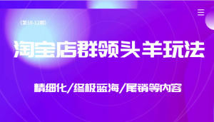 淘宝店群领头羊玩法，精细化/终极蓝海/尾销等内容（第10-12期）-吾藏分享