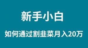 新手小白如何通过割韭菜月入 20W-吾藏分享