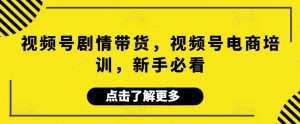 视频号剧情带货，视频号电商培训，新手必看-吾藏分享