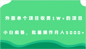 外面单个项目收费1W+的项目，小白必备，批量操作月入5000+-吾藏分享