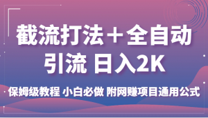 截流打法＋全自动引流 日入2K 保姆级教程 小白必做   附网赚项目通用公式-吾藏分享