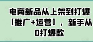 电商新品从上架到打爆【推广+运营】，新手从0打爆款-吾藏分享