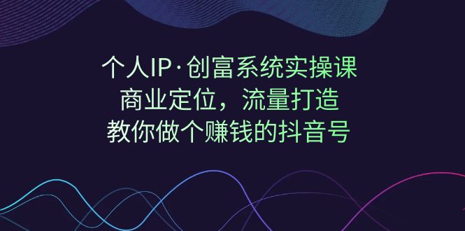 个人IP·创富系统实操课：商业定位，流量打造，教你做个赚钱的抖音号-吾藏分享