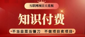 2024互联网项目天花板，新手小白也可以通过知识付费月入10W，实现财富自由-吾藏分享