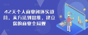 42天个人商业闭环实战营，从方法到思维，建立你的商业全局观-吾藏分享