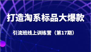 打造淘系标品大爆款引流班线上训练营（第17期）5天直播授课+1个月答疑-吾藏分享