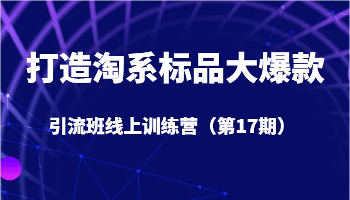 打造淘系标品大爆款引流班线上训练营（第17期）5天直播授课+1个月答疑-吾藏分享