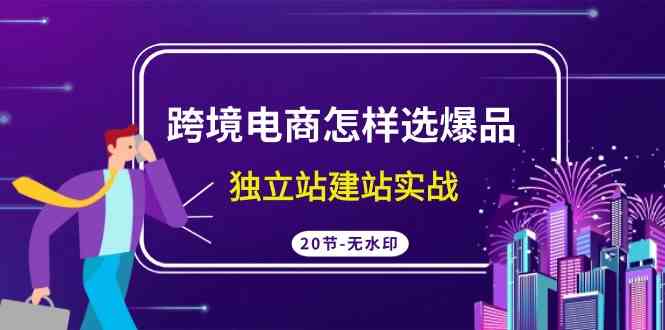 图片[1]-跨境电商怎样选爆品，独立站建站实战（20节高清无水印课）-吾藏分享