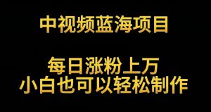 中视频蓝海项目，解读英雄人物生平，每日涨粉上万，小白也可以轻松制作，月入过万不是梦-吾藏分享