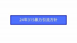 2024年315暴力引流方针-吾藏分享