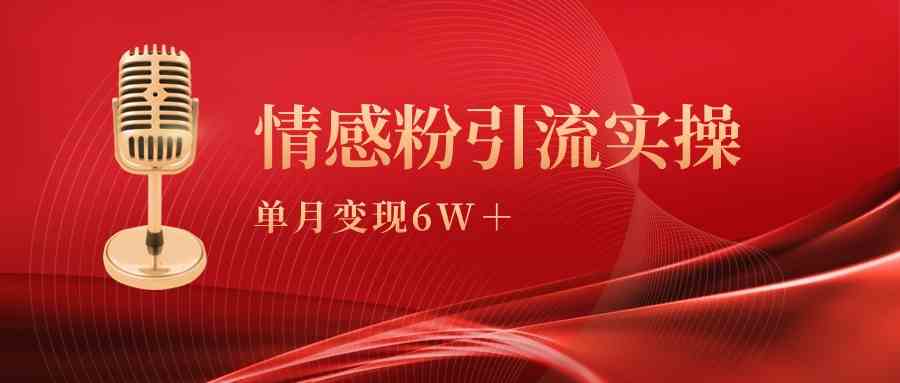 单月变现6w+，情感粉引流变现实操课-吾藏分享