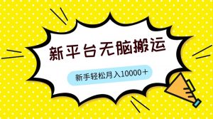 新平台用软件无脑搬运，月赚10000+，小白也能轻松上手-吾藏分享