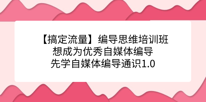 【搞定流量】编导思维培训班，想成为优秀自媒体编导先学自媒体编导通识1.0-吾藏分享