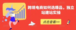 跨境电商如何选爆品，独立站建站实操-吾藏分享