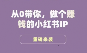 小红书运营大宝典，从0带你做个赚钱的小红书IP-吾藏分享