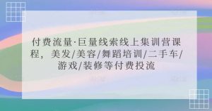 付费流量·巨量线索线上集训营课程，美发/美容/舞蹈培训/二手车/游戏/装修等付费投流-吾藏分享