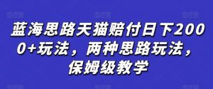 蓝海思路天猫赔付日下2000+玩法，两种思路玩法，保姆级教学【仅揭秘】-吾藏分享