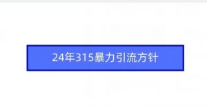 24年315暴力引流方针-吾藏分享