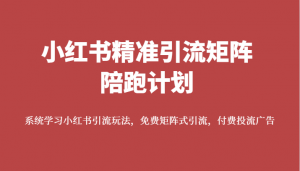 小红书精准引流矩阵陪跑计划，系统学习小红书引流玩法，免费矩阵式引流，付费投流广告-吾藏分享