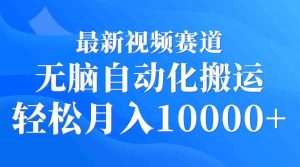 最新视频赛道 无脑自动化搬运 轻松月入10000+-吾藏分享