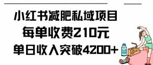 小红书减肥私域项目每单收费210元单日成交20单，最高日入4200+-吾藏分享