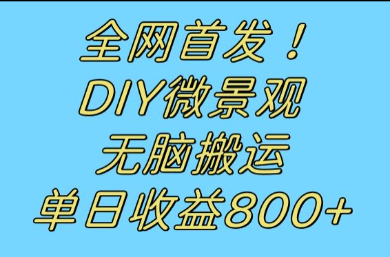 全网首发冷门赛道！DIY微景观，无脑搬运视频，日收益800+-吾藏分享