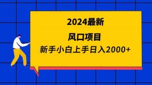 2024最新风口项目 新手小白日入2000+-吾藏分享