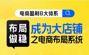 八大体系布局篇·布局做稳，成为大店的电商布局线上课-吾藏分享